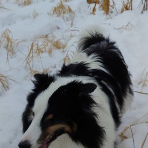 Meet your Posher, Kara